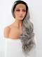 EvaHair Best Seller Hot Grey/Silver Ombre Wavy Long Synthetic Lace Front Wig