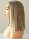 Evahair Fashion Style Sexy Grey Long Straight Synthetic Wig