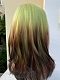Evahair 2022 New Style Matcha Green to Brownish Black Ombre Long Straight Synthetic Lace Front Wig 