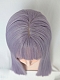 Evahair 2021 New Style Calamus Purple Long Straight Synthetic Wig with Bangs