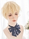 Evahair 2022 New Style Blonde Short Straight Synthetic Wig with Bangs