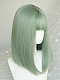 Evahair Light Green Medium Length Straight Synthetic Wig with Bangs