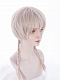 Evahair 2022 Special Offer Beige and White Short Straight Synthetic Wig with Bangs and Little Braids