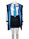 Evahair Blue Archive Tenndou arisu cosplay costume