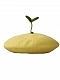 Kawaii Green Bean Sprout Mori Beret Hat