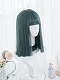 Evahair Blue and Green Mixed Color Medium Length Straight Synthetic Wig with Bangs