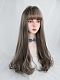 Evahair Aoki Grey Long Straight Synthetic Wig with Bangs