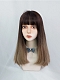 Evahair 2021 New Style Blackish Brown to Blonde Ombre Medium Straight Synthetic Wig with Bangs