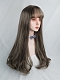 Evahair Aoki Grey Long Straight Synthetic Wig with Bangs