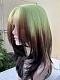 Evahair 2022 New Style Matcha Green to Brownish Black Ombre Long Straight Synthetic Lace Front Wig 