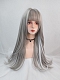 Evahair Grey and White Mixed Color Long Straight Synthetic Wig with Bangs