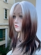 Preorder--Evahair 2021 New Style Silver to Brown Ombre Medium Straight Synthetic Lace Front Wig