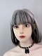 Evahair 2021 New Style Silvery White and Black Mixed Color Shoulder Length Straight Synthetic Wig with Bangs