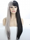 HALF BLACK AND HALF GREY STRAIGHT QUITE LONG SYNTHETIC LACE FRONT WIG