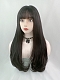 Evahair 2021 New Style Brownish Black Long Slight Wavy Synthetic Wig with Bangs