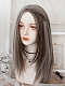Evahair 2021 New Style Grey Medium Straight Synthetic Lace Wig