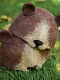 Cute Magic Forest Little Bear-Ears Mori Hat
