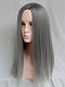 Evahair 2021 New Style Silvery Grey Long Straight Synthetic Wig