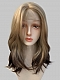 Preorder--Evahair 2021 New Style Blonde to Brown Ombre Medium Straight Synthetic Lace Front Wig