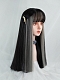 Evahair Black and Grey Mixed Color Long Straight Synthetic Wig with Bangs