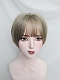 Evahair 2021 New Style Mint Grey Short Straight Synthetic Wig with Bangs