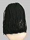 Preorder--Evahair 2021 New Style Black Braided Medium Lace Front Wig