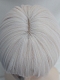 Evahair 2021 New Style Silvery White Shoulder Length Straight Synthetic Wig with Bangs