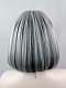 Evahair 2021 New Style Silvery White and Black Mixed Color Shoulder Length Straight Synthetic Wig with Bangs