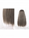 Evahair Haze Grey Long Straight Synthetic Wig with Bangs