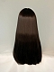 Evahair 2021 New Style Black Long Straight Synthetic Wig with Bangs and Hime Cut