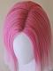 Evahair 2021 New Style Pink Ombre Short Straight Synthetic Wig