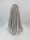 Evahair Grey and White Mixed Color Long Straight Synthetic Wig with Bangs