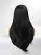 Jet Black Long Straight Synthetic Lace Front Wig