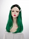 EvaHair Wefted Cap Long Straight Synthetic Wig