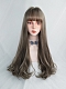 Evahair Aoki Grey Long Straight Synthetic Wig with Bangs