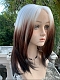 Preorder--Evahair 2021 New Style Silver to Brown Ombre Medium Straight Synthetic Lace Front Wig
