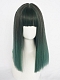 Evahair Dark Green Medium Length Straight Synthetic Wig with Bangs