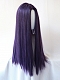 Evahair 2021 New Style Dark Purple Long Straight Synthetic Wig