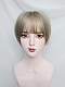 Evahair 2021 New Style Mint Grey Short Straight Synthetic Wig with Bangs