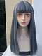 Evahair 2021 New Style Blue and Grey Mixed Color Long Straight Synthetic Wig with Bangs