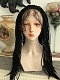 Preorder--Evahair 2021 New Style 20'' Black Long Braided Lace Front Wig