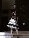 Evahair fashion cat paw printed lolita dress JSK