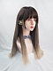 Evahair Brown to Blonde Ombre Color Long Straight Synthetic Wig with Bangs