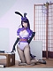Evahair Fashion Genshin Raiden Shogun Bunny Girl Cosplay Costume