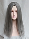 Evahair 2021 New Style Silvery Grey Long Straight Synthetic Wig