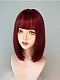 Evahair 2021 New Style Red Wine Color Shoulder Length Straight Synthetic Wig with Bangs