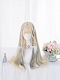 Evahair Golden and Grey Mixed Color Long Straight Synthetic Wig with Bangs