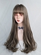Evahair Aoki Grey Long Straight Synthetic Wig with Bangs
