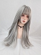 Evahair Grey and White Mixed Color Long Straight Synthetic Wig with Bangs