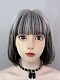 Evahair 2021 New Style Silvery White and Black Mixed Color Shoulder Length Straight Synthetic Wig with Bangs